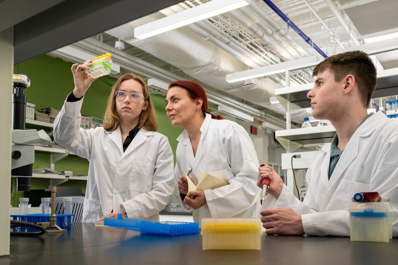 Biology students studying something